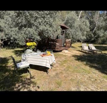 Roulotte / Tiny House Dans Les Alpilles Hotel Saint-Rémy-de-Provence Kültér fotó